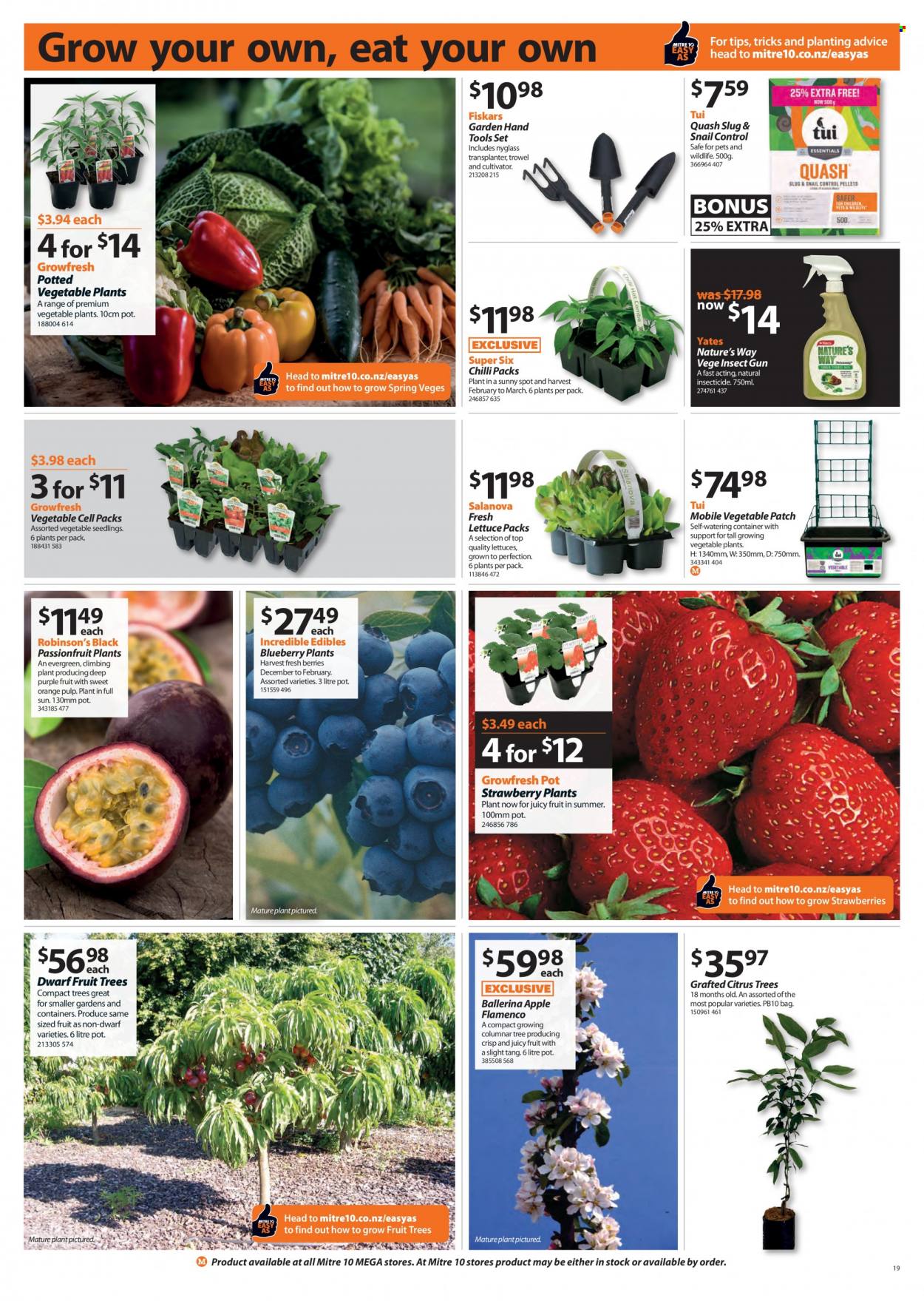 Mitre 10 mailer  - 07.10.2021 - 24.10.2021. Page 19.