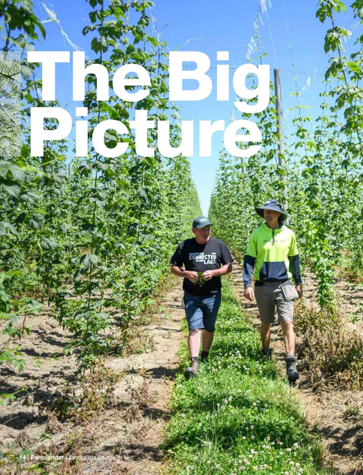 Farmlands mailer . Page 16.