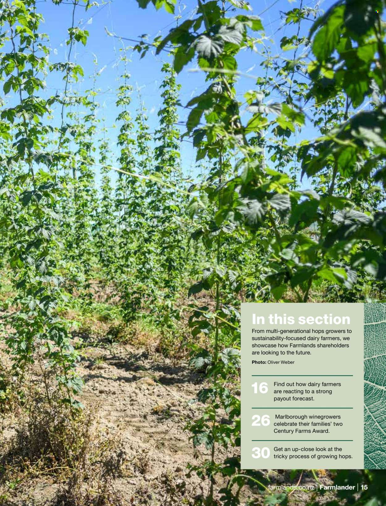Farmlands mailer . Page 17.