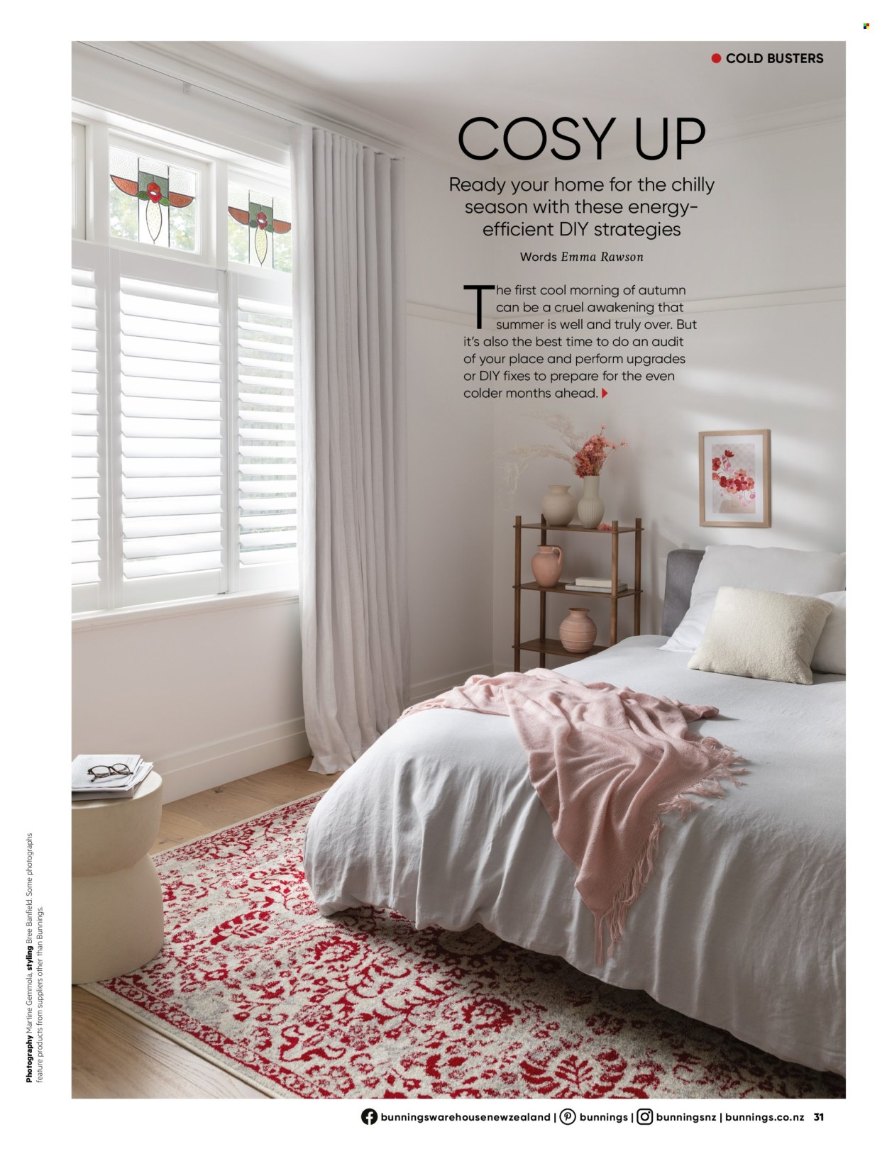 Bunnings Warehouse mailer . Page 31.