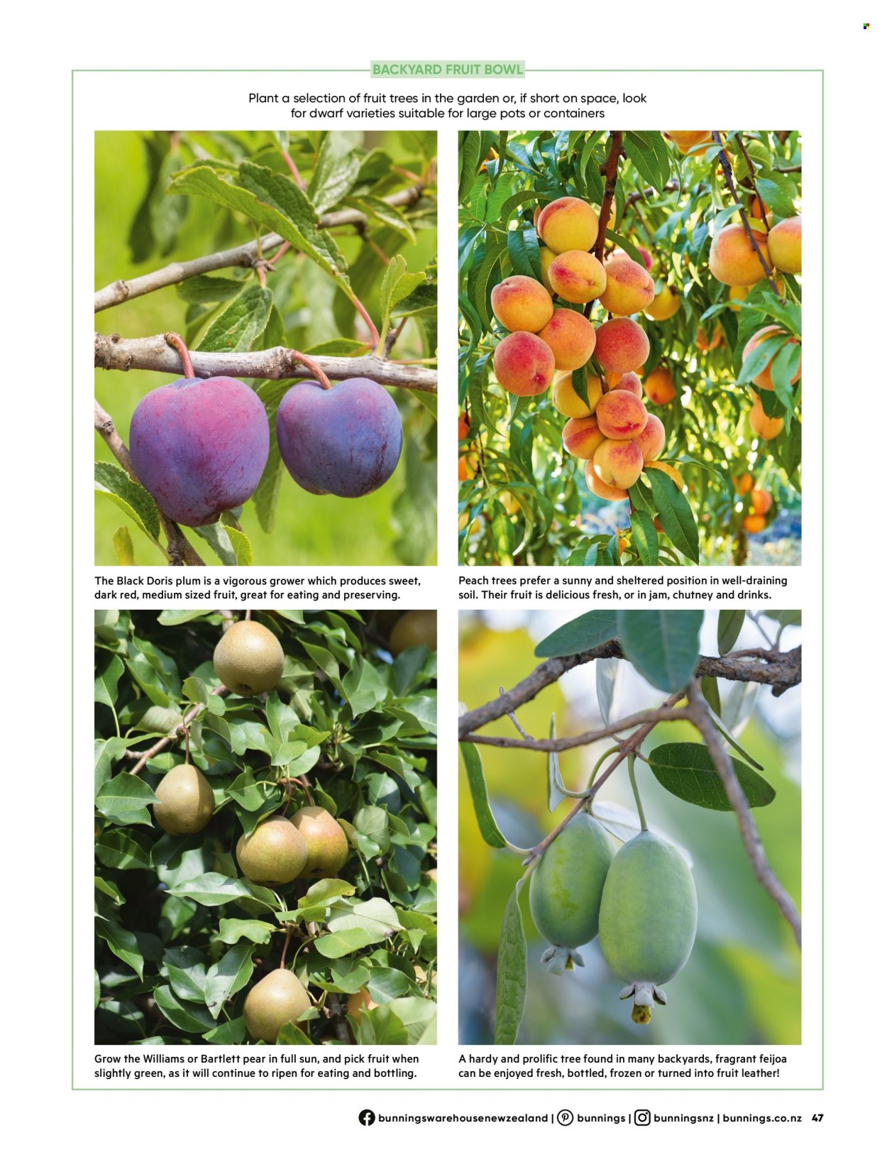 Bunnings Warehouse mailer . Page 47.