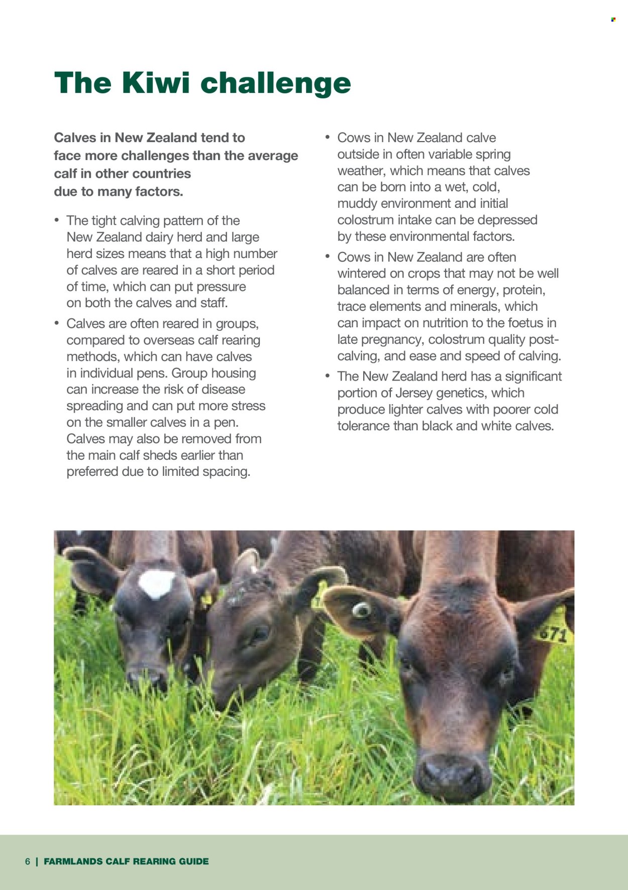 Farmlands mailer . Page 6. Page 6
