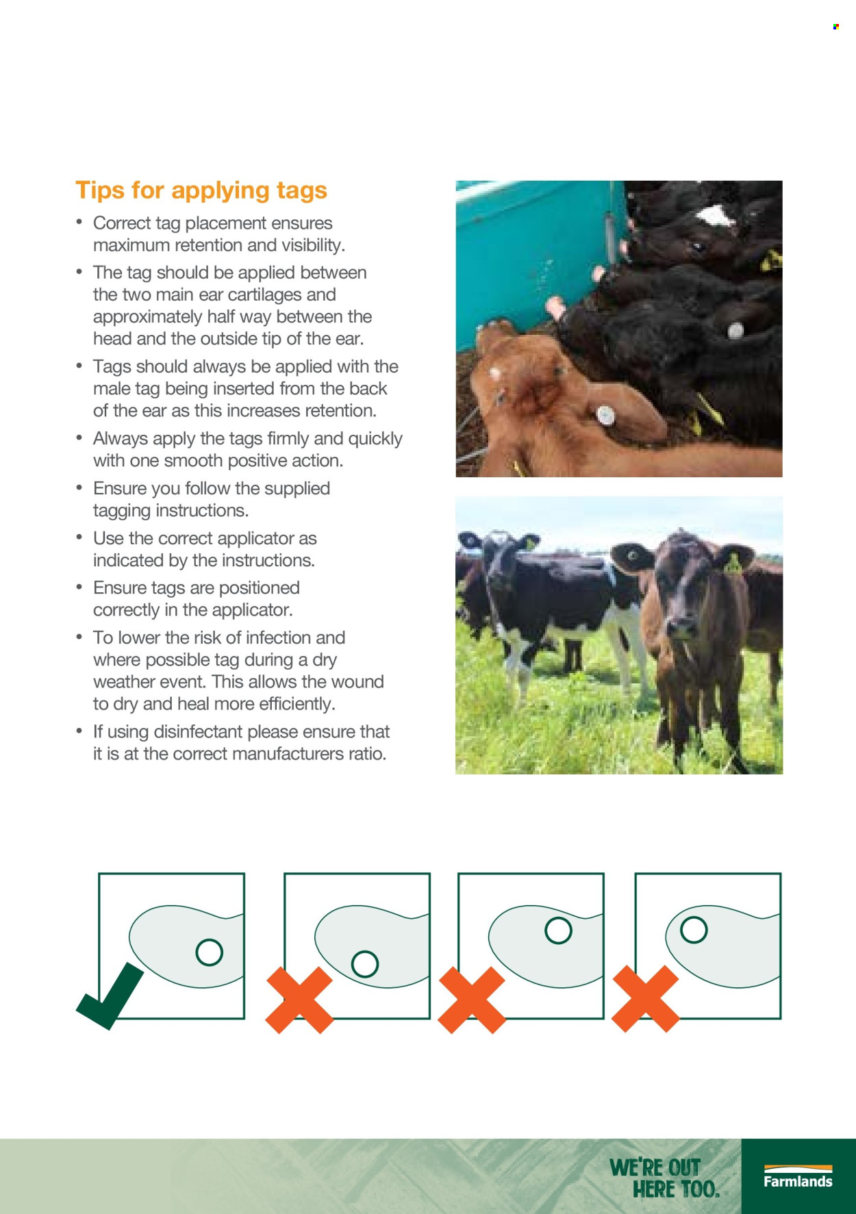 Farmlands mailer . Page 11. Page 11