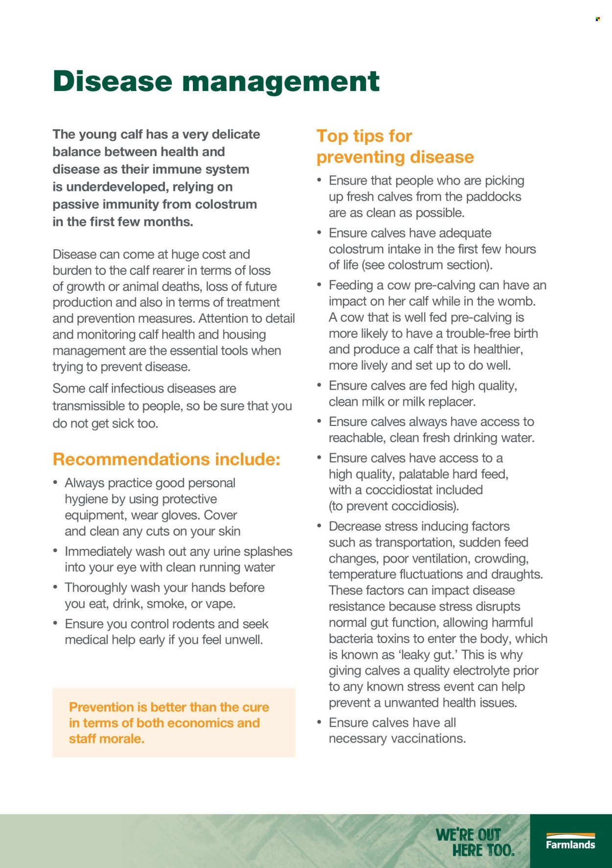 Farmlands mailer . Page 19. Page 19