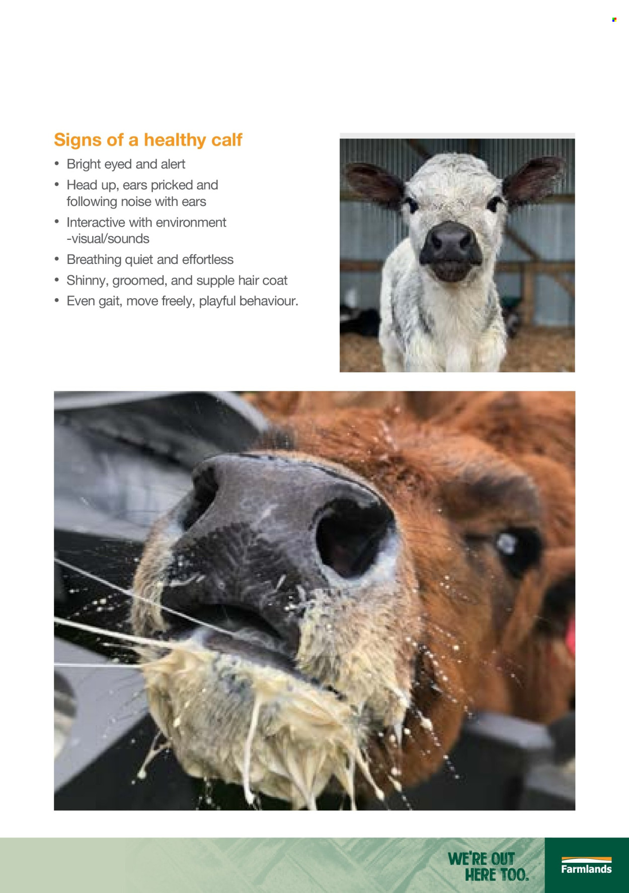 Farmlands mailer . Page 21. Page 21