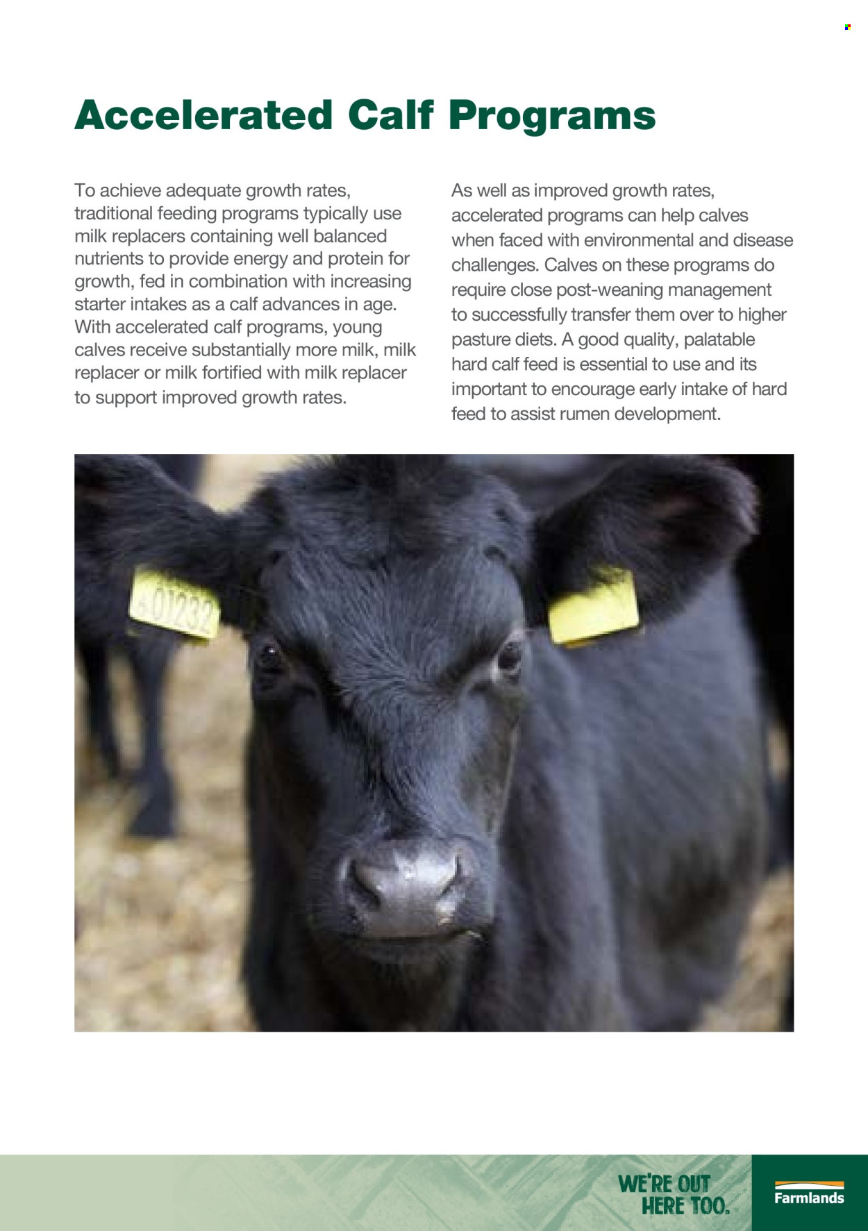Farmlands mailer . Page 31. Page 31