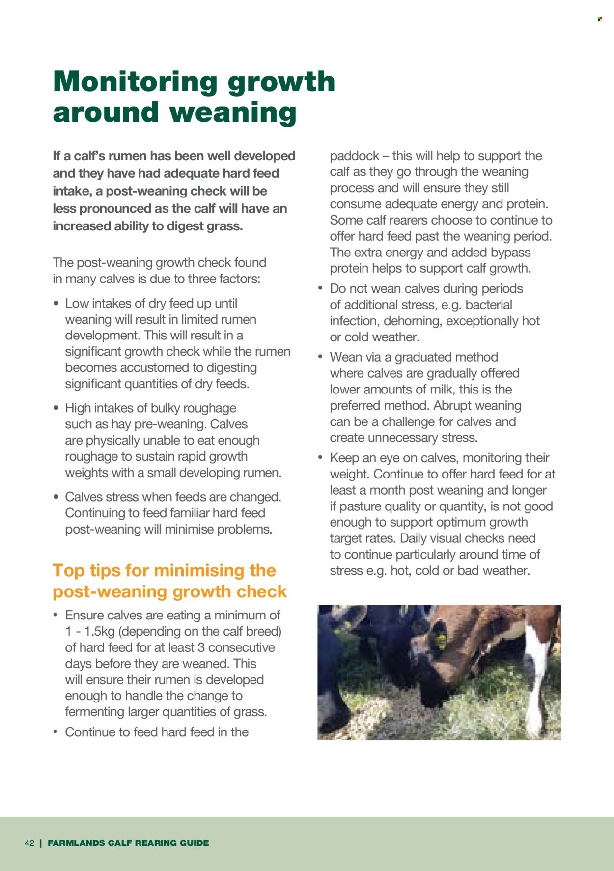 Farmlands mailer . Page 42. Page 42