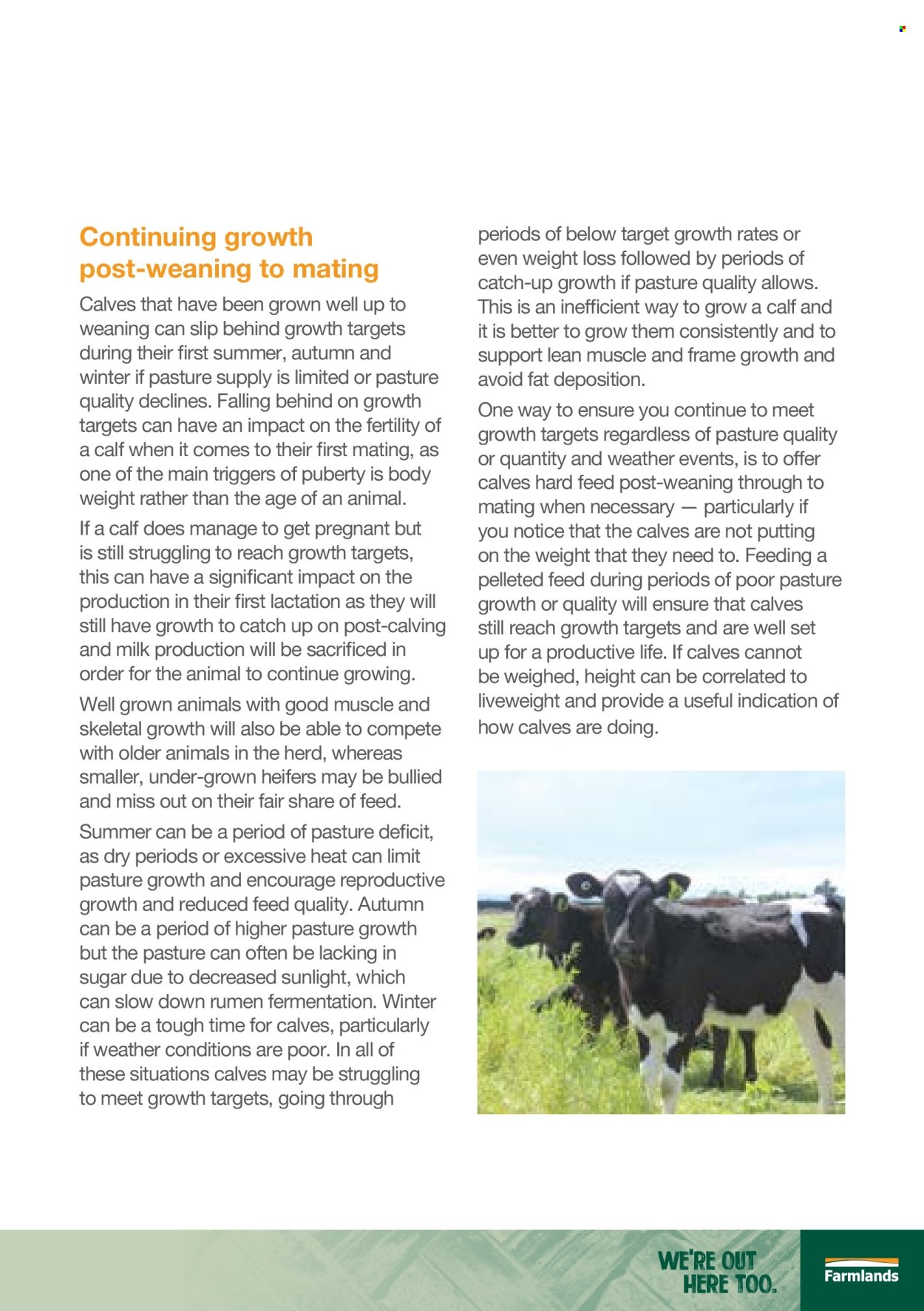 Farmlands mailer . Page 43. Page 43