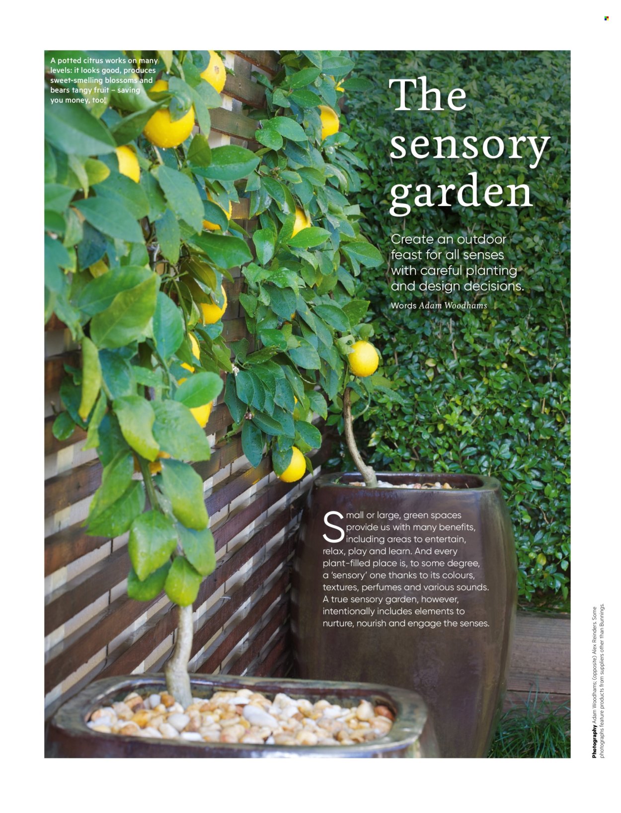 Bunnings Warehouse mailer . Page 40. Page 40