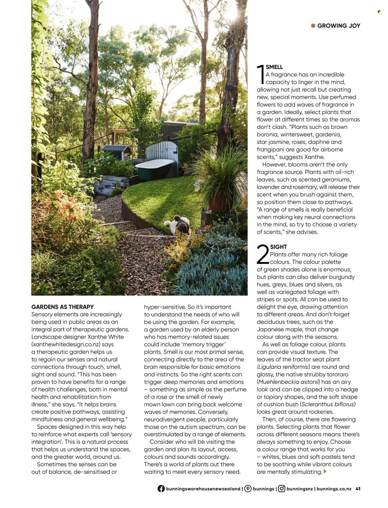 Bunnings Warehouse mailer . Page 41. Page 41
