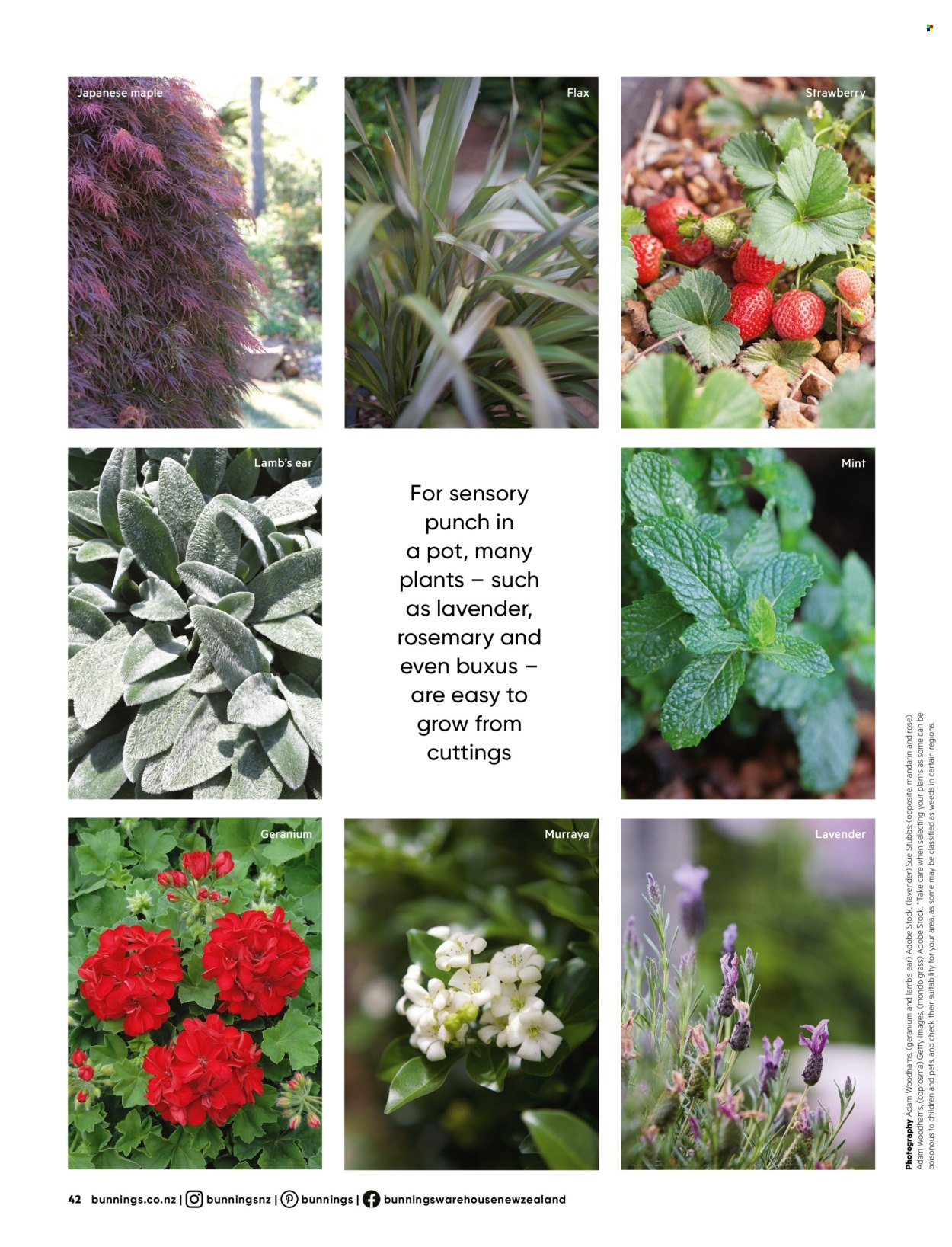 Bunnings Warehouse mailer . Page 42. Page 42