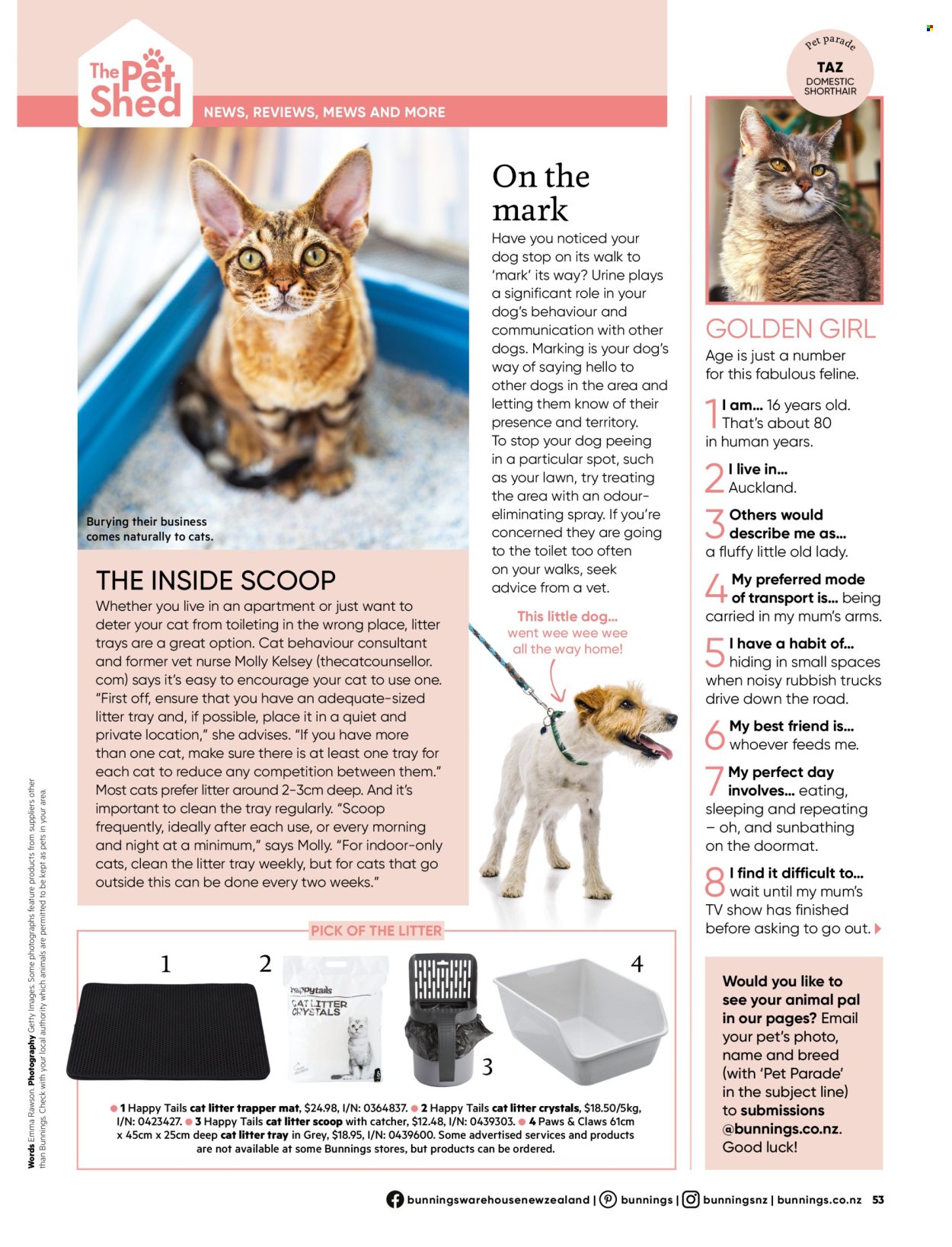 Bunnings Warehouse mailer . Page 53. Page 53