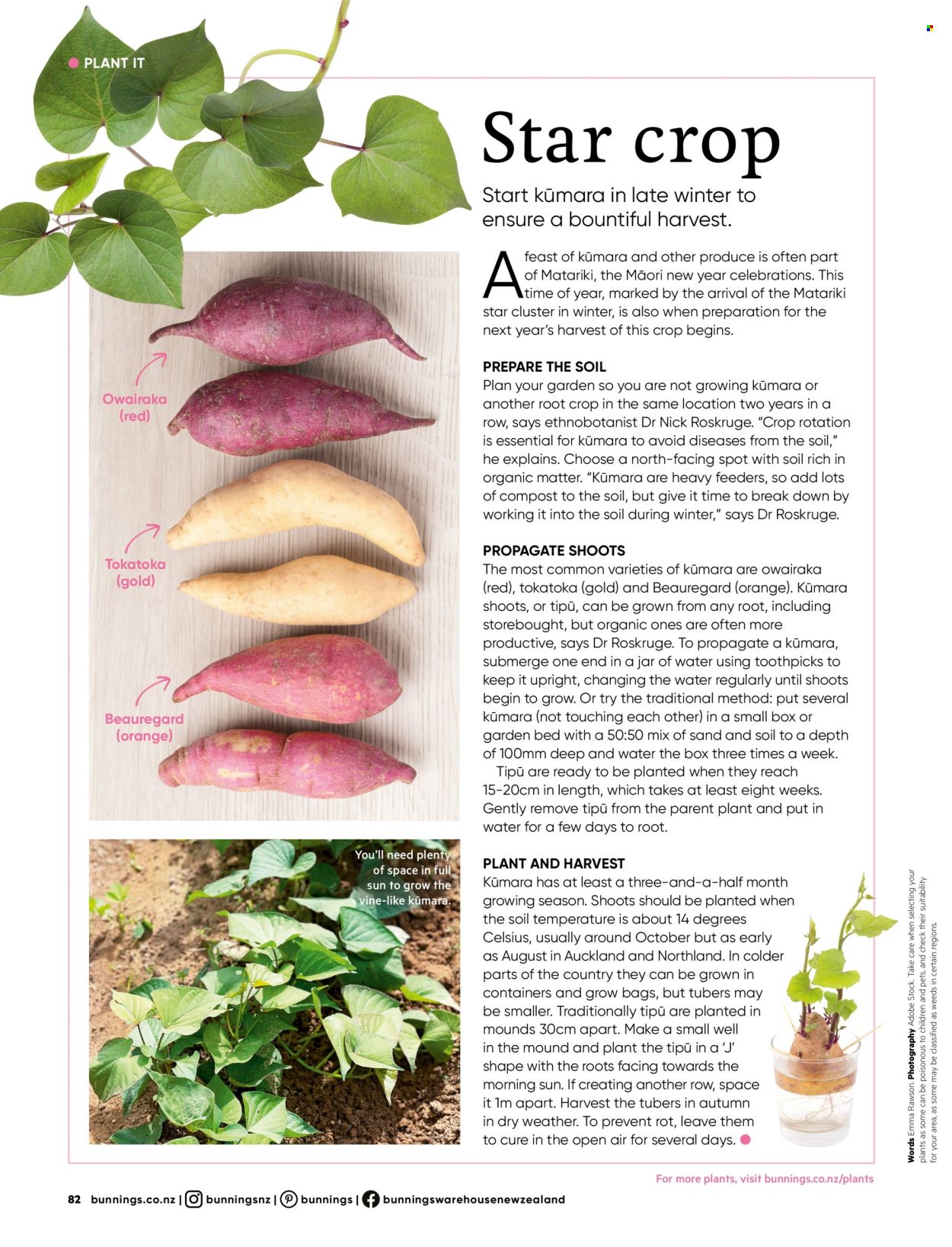Bunnings Warehouse mailer . Page 82. Page 82